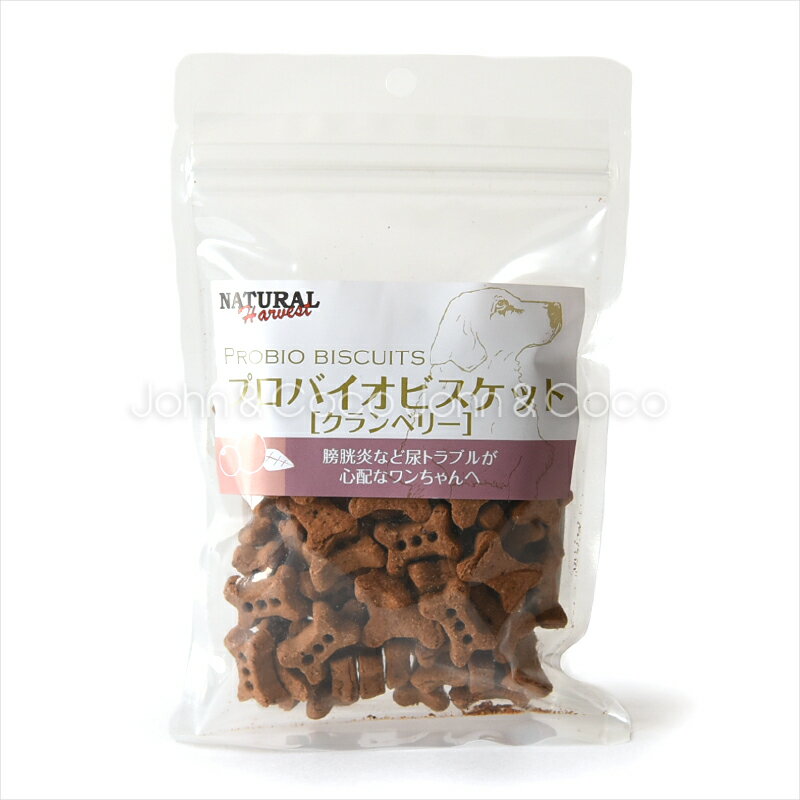 【土日祝も営業 まとめ買いがお得】DOGTREE(ドッグツリー) 豆乳カルシウムぼうろ 50g