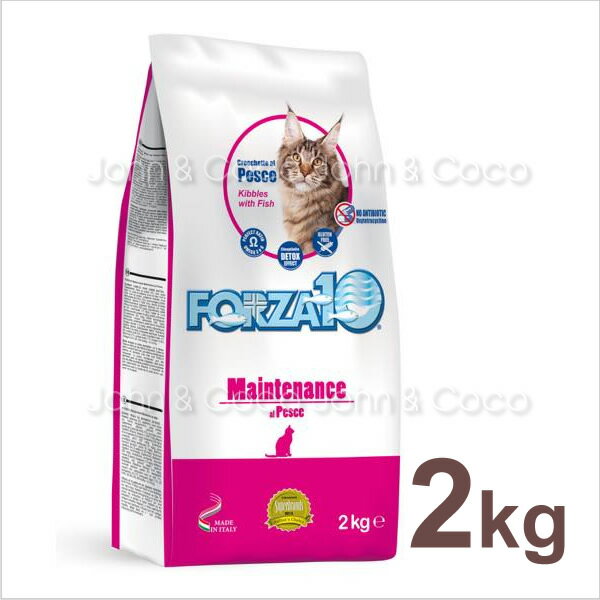 フォルツァ10 CAT Forza10 レギュラーメンテナンスフィッシュ-2kg