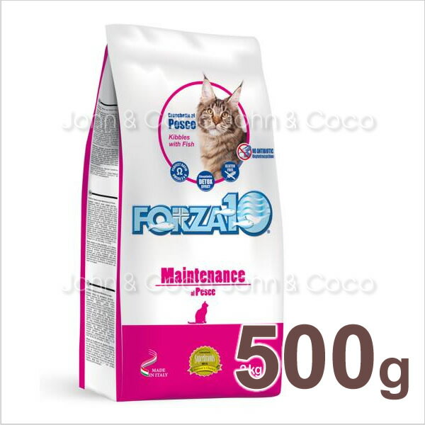 フォルツァ10 CAT Forza10 レギュラーメ