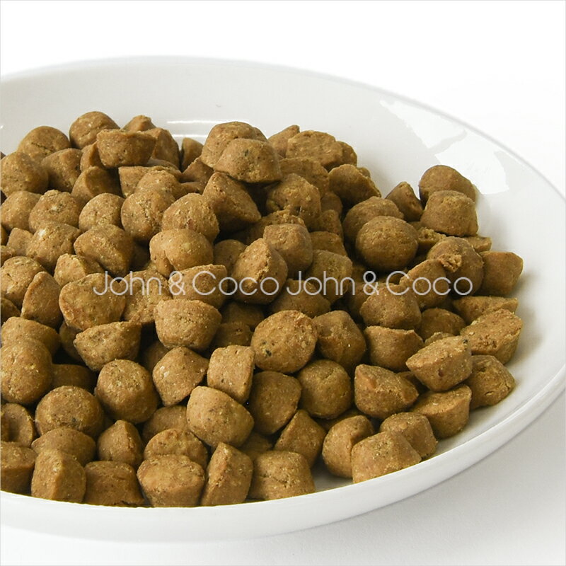 オーブンベークドトラディション DOG グレインフリー フィッシュ 100g ドッグフード ドライフード