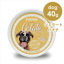 フィドベット DOG ジェラート バナナ 40g　犬 おやつ デザート 夏バテ