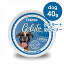 フィドベット DOG ジェラート ラズベリー 40g 犬 おやつ デザート 夏バテ