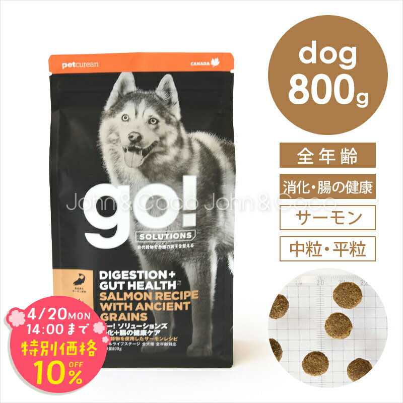 乐天商城 - 「期間限定10%オフ！4/20(月)14時迄」ゴー DOG 消化＋腸の健康ケア サーモン 800g 犬 ドッグフード ドライフード 魚 お腹 プロバイオティクス 腸活【公式販売店舗】