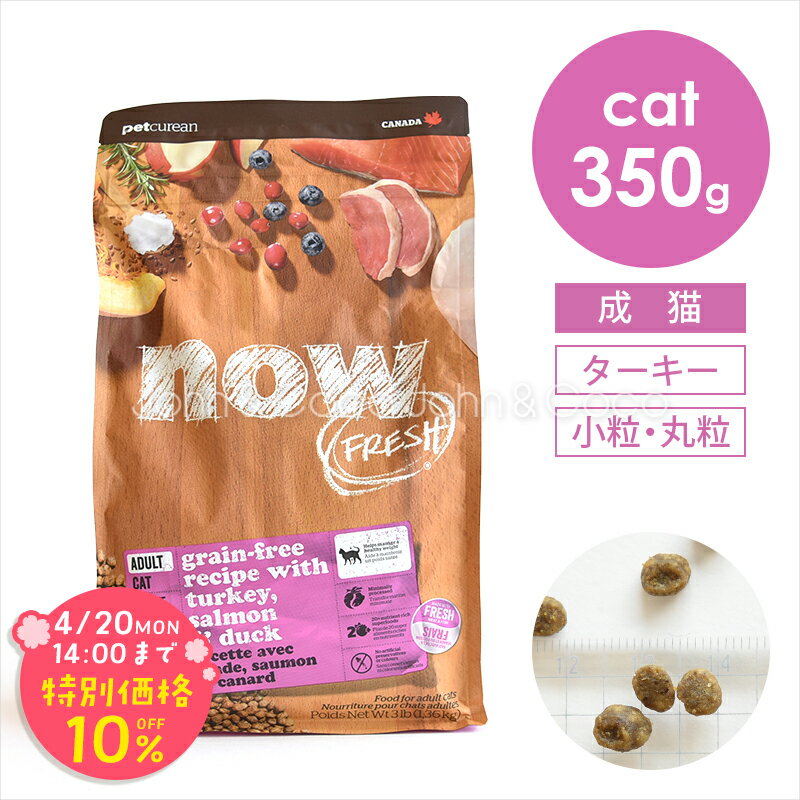 乐天商城 - 「期間限定10%オフ！4/20(月)14時迄」ナウ フレッシュ（NOW FRESH） グレインフリー アダルトキャット 350g 猫 キャットフード ドライフード 成猫 ターキー 小粒【公式販売店舗】
