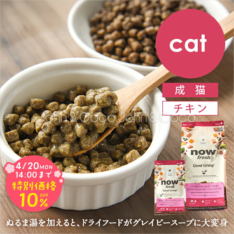「期間限定10%オフ！4/20(月)14時迄」ナウ フレッシュ（NOW FRESH） グッドグレービー アダルトキャット チキンレシピ 猫 キャットフード ドライフード グレインフリー 鶏【公式販売店舗】