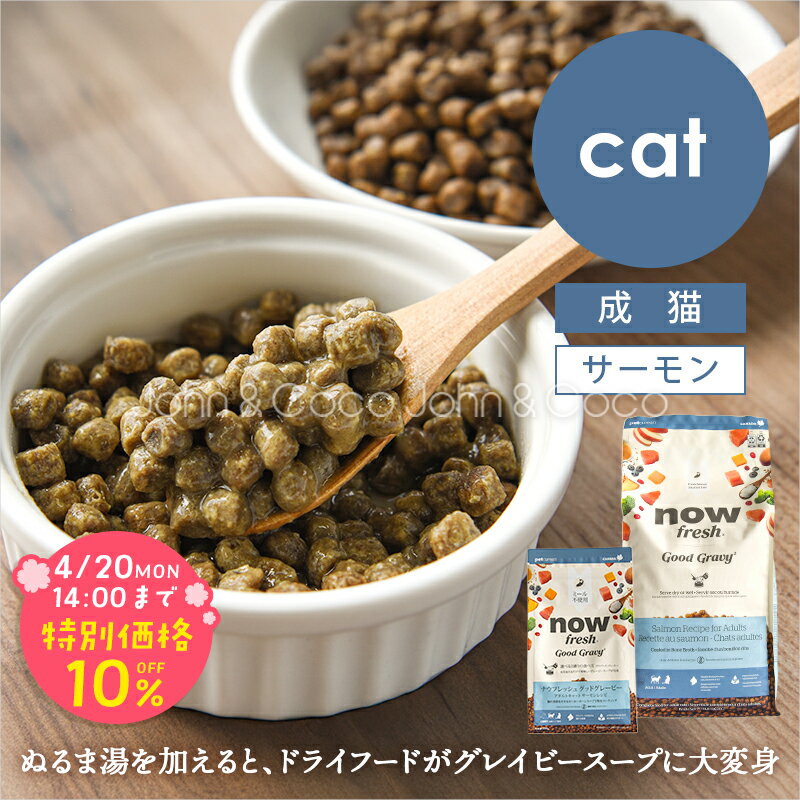 乐天商城 - 「期間限定10%オフ！4/20(月)14時迄」ナウ フレッシュ（NOW FRESH） グッドグレービー アダルトキャット サーモンレシピ 猫 キャットフード ドライフード グレインフリー 魚【公式販売店舗】