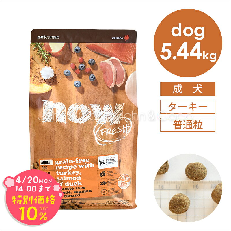 「期間限定10%オフ！4/20(月)14時迄」ナウ フレッシュ（NOW FRESH） グレインフリー アダルト 5.44kg 犬 ドッグフード ドライフード ターキー 七面鳥 グレインフリー フレッシュミート フルーツ 野菜 成犬 普通粒【公式販売店舗】