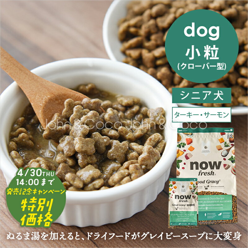 樂天商城 - 「新登場特別価格！4/30(木)14時迄」ナウ フレッシュ（NOW FRESH） DOG グッドグレービー グレインフリー スモールブリード シニア ターキー＆サーモン＆ダックレシピ 犬 ドッグフード ドライフード【公式販売店舗】
