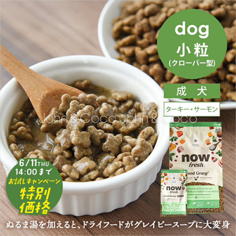 Rakuten - 「計量カップ先着プレゼント」ナウ フレッシュ（NOW FRESH） DOG グッドグレービー グレインフリー スモールブリード アダルト ターキー＆サーモン＆ダックレシピ 犬 ドッグフード ドライフード【公式販売店舗】