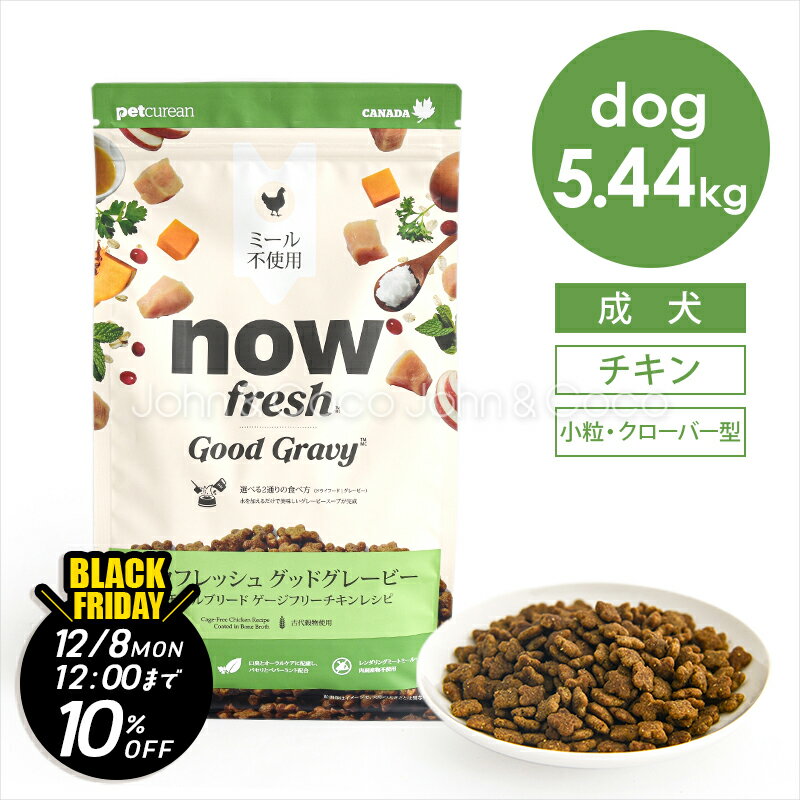 【ジョンココBlackFriday第二弾「11/21(金)12時〜12/8(月)12時」】ナウ フレッシュ（NOW FRESH） グッ..