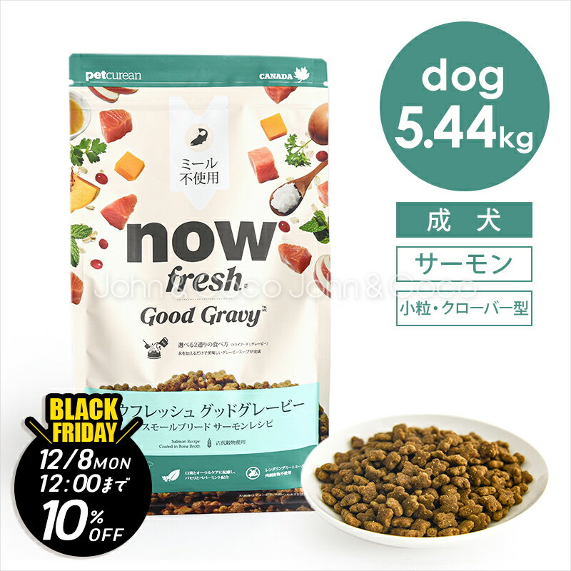 【ジョンココBlackFriday第二弾「11/21(金)12時〜12/8(月)12時」】ナウ フレッシュ（NOW FRESH） グッ..