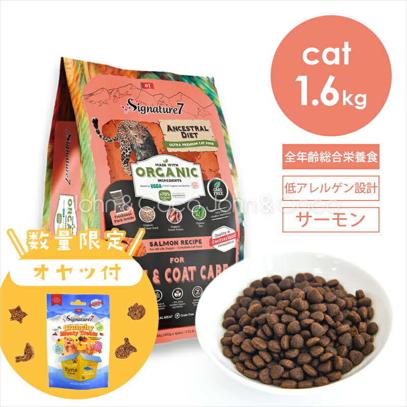 �֤�������ڡ�����4�ơ�3/10(��)13:59���ץ����ͥ��㡼7 CAT ���󥻥��ȥ��������å� ������������ȥ������ 1.6kg�ܥߡ��ƥ����ȥ꡼��...