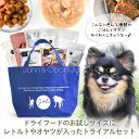 【送料無料】J&C 限定 ジョンココ トライアルセット 犬用 お試し サンプル ドッグフード ドライフード ウェットフード オヤツ 「初回限定おひとり様おひとつ...