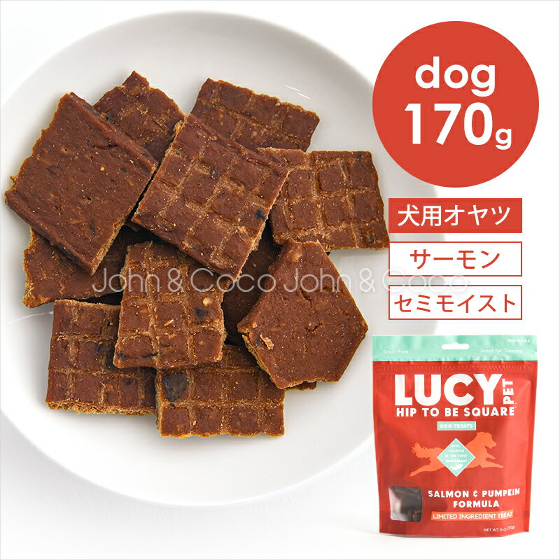 ルーシーペット DOG ヒップトゥービースクエア ドッグトリーツ サーモン＆パンプキン 170g 犬 ドッグフ..