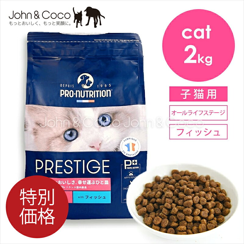 ぽーさん専用 NOW FRESH ナウフレッシュ グレインフリー キトン 350g (56411) Now