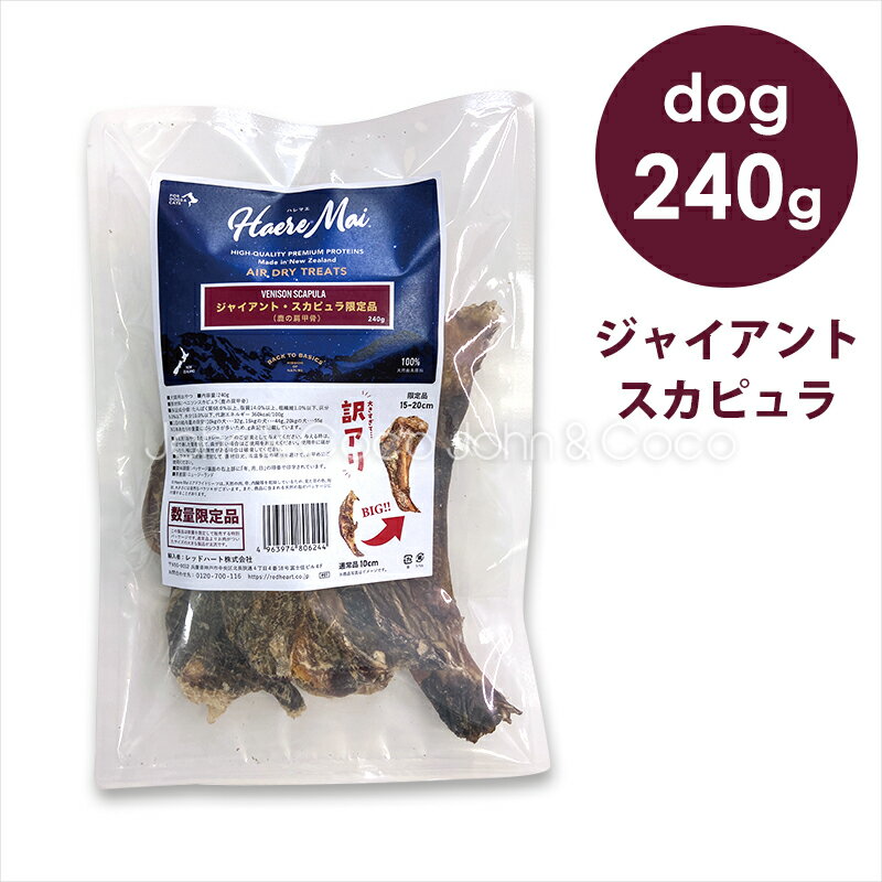 Rakuten - バックトゥベーシックス ハレマエ ジャイアント・スカピュラ（鹿の肩甲骨） 240g 犬 オヤツ トリーツ【大きな骨のオヤツ】