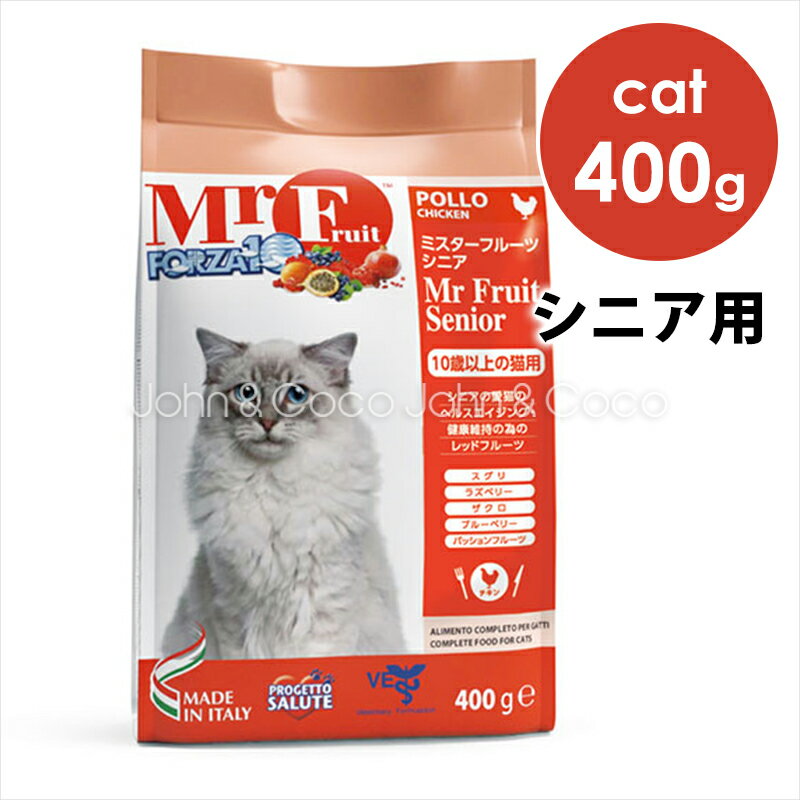 フォルツァ10 CAT ミスターフルーツ 