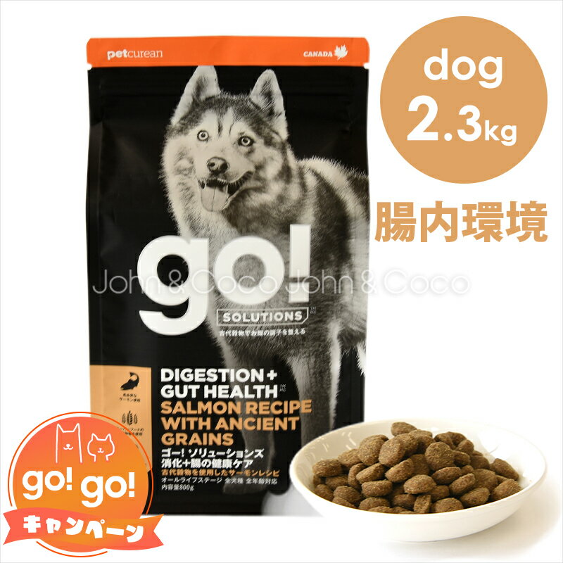 S[ DOG {̌NPA T[ 2.3kg