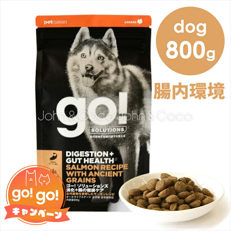 S[ DOG {̌NPA T[ 800g hbOt[h hCt[h ̂͂ X[p[t[h Ñ㍒ GO!