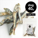 J&C うるめ丸干し 40g ドッグトリーツ 犬 オヤツ 魚 カルシウム 国産