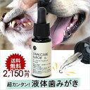 J＆C オーラルケア スポイト 30ml 犬 猫 デンタルケア 液体 歯磨き 犬用 猫用