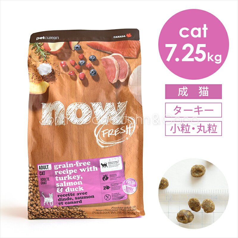 ʥ եåNOW FRESH 쥤ե꡼ ȥå 7.25kg ǭ åȥա ɥ饤ա ǭ  ...