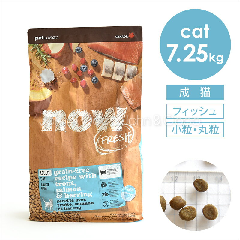 ナウ フレッシュ （NOW FRESH）グレインフリー フィッシュアダルトキャット 7.25kg 猫 キャットフード ドライフード 成猫 魚 小粒のサムネイル