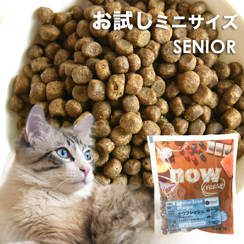 ナウフレッシュ CAT グレインフリーフィッシュ アダルトキャット お試しミニサイズ 50g 成猫 グルテンフリー フィッシュ