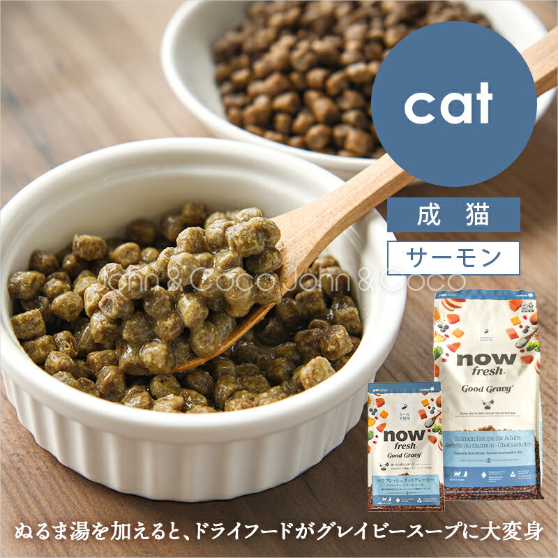 樂天商城 - ナウ フレッシュ（NOW FRESH） グッドグレービー アダルトキャット サーモンレシピ 猫 キャットフード ドライフード グレインフリー 魚【公式販売店舗】