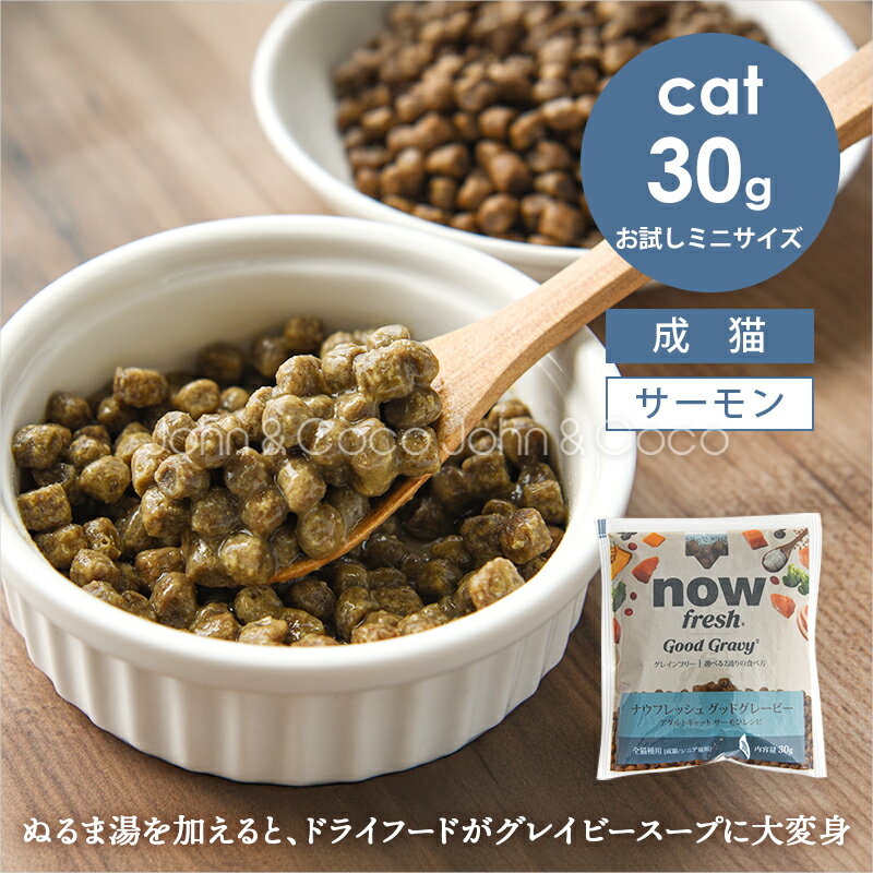 乐天商城 - ナウフレッシュ CAT グッドグレービー アダルトキャット サーモンレシピ お試しミニサイズ30g 猫 キャットフード ドライフード グレインフリー 魚【公式販売店舗】