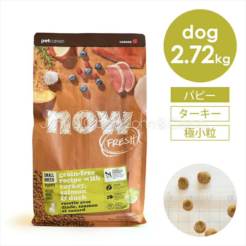 ナウフレッシュ （NOW FRESH） グレインフリー スモールブリード パピー 2.72kg ドッグフード ドライフード 犬のごはん ミールフリー ターキー 七面鳥 小型犬 小粒 子犬 幼犬 シニア犬