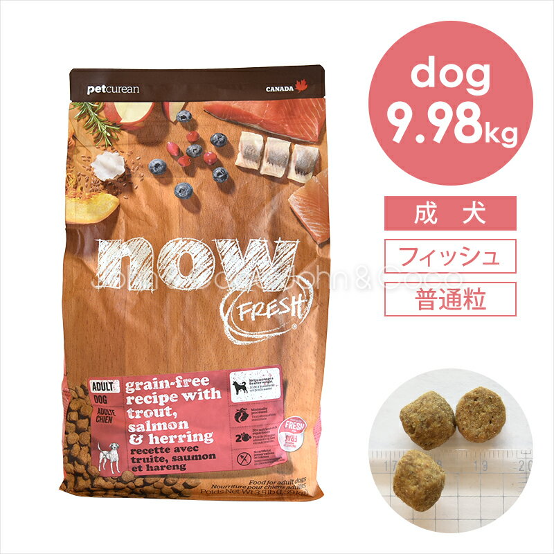 乐天商城 - ナウ フレッシュ（NOW FRESH） グレインフリー フィッシュアダルト 9.98kg 犬 ドッグフード ドライフード 成犬 普通粒 魚【公式販売店舗】