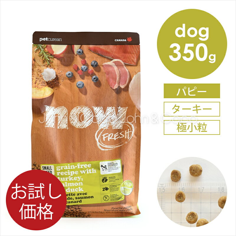 ナウフレッシュ （NOW FRESH） グレインフリー スモールブリード パピー 350g ドッグフード ドライフー..