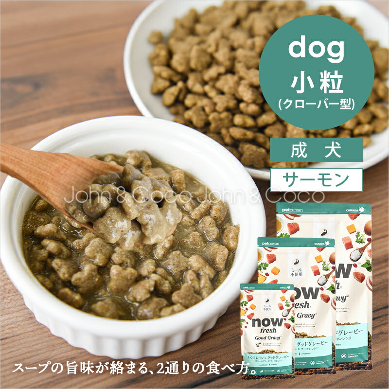 樂天商城 - ナウ フレッシュ（NOW FRESH） グッドグレービー スモールブリード サーモンレシピ 犬 ドッグフード 小型犬 低温調理 ミールフリー【公式販売店舗】