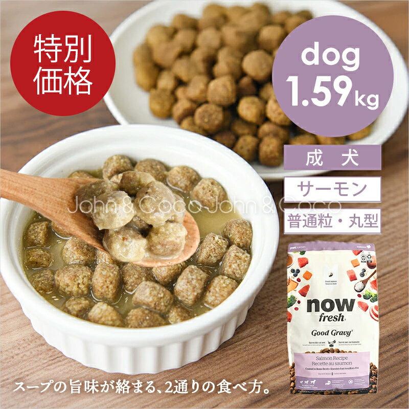 乐天商城 - 「特別価格」ナウ フレッシュ（NOW FRESH） グッドグレービー オールブリード サーモンレシピ 1.59kg 犬 ドッグフード 低温調理 ミールフリー