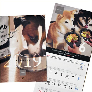 POCHI(ポチ) 2019年 POCHI年カレンダー 犬のカレンダー