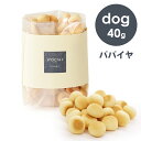 POCHI（ポチ） パパイヤボーロ 40g エコパッケージ