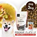 POCHI（ポチ） 数量限定 ザ・ドッグフード ベーシック ワイルドサーモン 3kg 「鶏肉と野菜のトマトスープ100g」付き ドライフード ウェットフード レトルト 犬