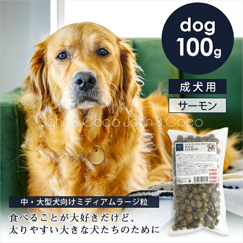 樂天商城 - POCHI（ポチ） ミディアムラージブリード ワイルドサーモン お試しミニサイズ100g 犬 ドッグフード ドライフード 中大型犬 魚 グルテンフリー【雑誌「RETRIEVER」コラボ商品】【公式販売店舗】