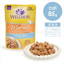 ウェルネス インダルジェンス 香るとろみスープ仕立て ターキー&ダック 85g キャットフード ウェットフード パウチ ノーグレイン 穀類不使用 クランベリー ...