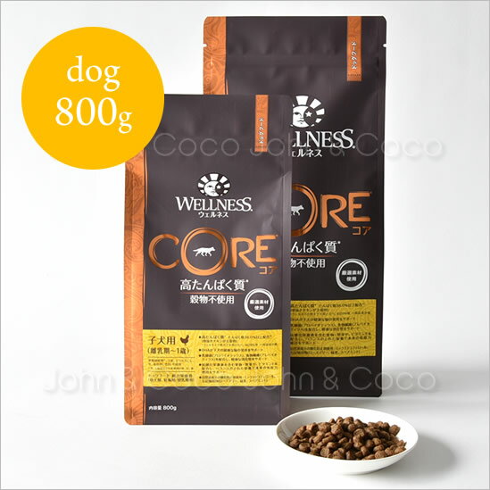 ウェルネス コア 穀物不使用 子犬用　800g　ドッグフード　プレミアム