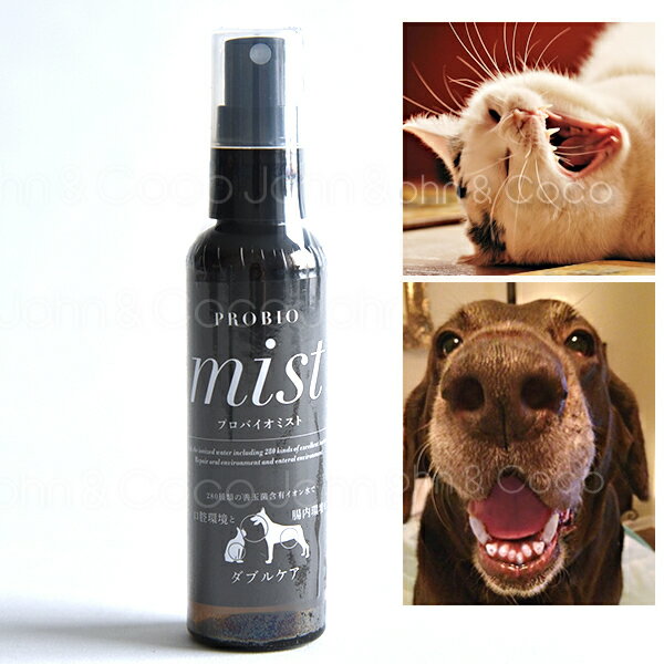 『Q-ness マウスクリーナー 犬用 200ml ×1本』【犬用】【QIX】MOUTH CLEANER 液体ハミガキ【デンタルケア】 (C5)