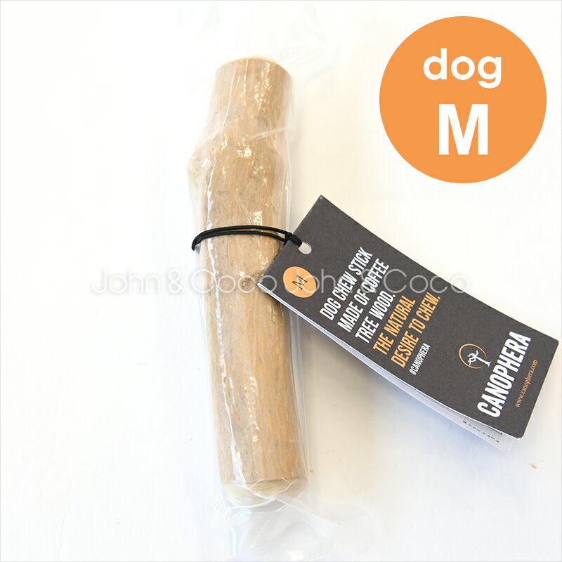 キャノフィラ DOG デンタルチュー M　犬用 おもちゃ 噛む コーヒーの木 中型犬のサムネイル