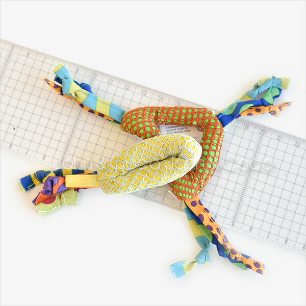 デンタル・ヘルス・チューズ 2個セット 「数量限定」の紹介画像3