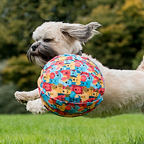 ドッグ バルーン 犬のおもちゃ ドッグトイ ボール