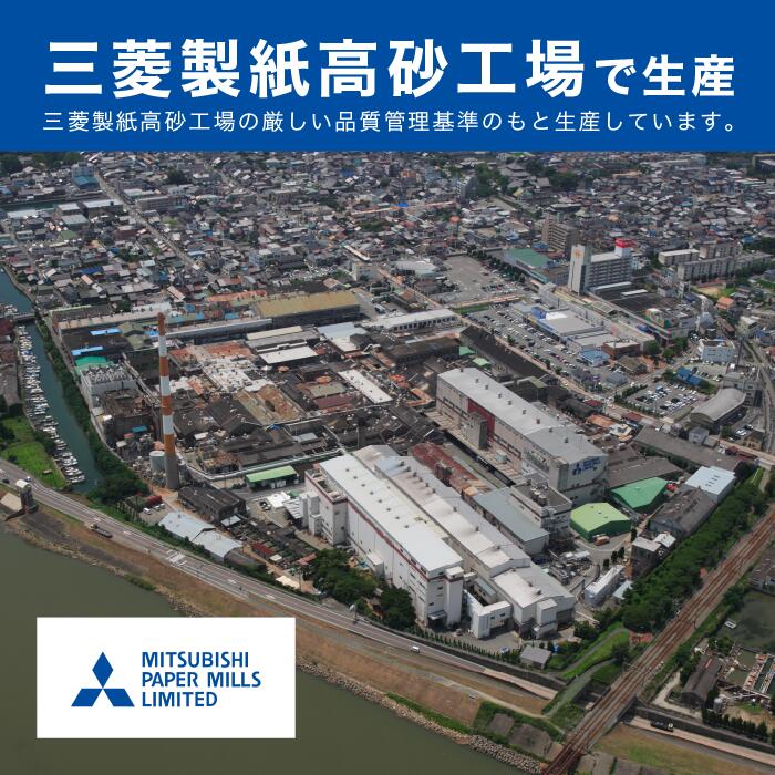 マスクカラー日本製不織布10枚入血色マスク国産カラーピンクパープルブルーベージュ送料無料メール便ふつうサイズ大人使い捨て耳やさしいギフト実用的プレゼント三菱製紙在庫メーカー直販安心女性ギフトお洒落