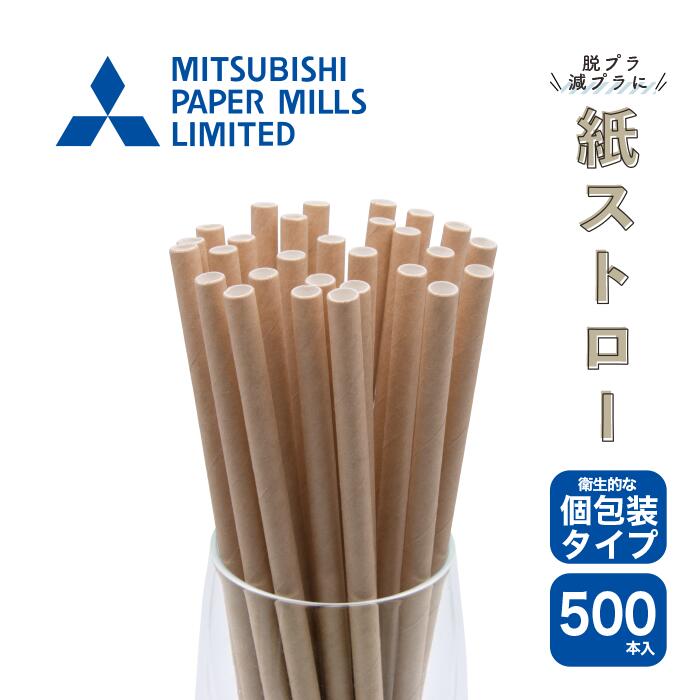 紙ストロー 個包装 500本 ペーパーストロー 紙個包 6mmx210mm 未晒し ストレートタイプ ナチュラル 業務用 安全 環境配慮商品 SDGs カフェ 喫茶店 おしゃれ 脱プラ 茶 夏 テイクアウトのサムネイル