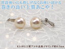 三重県真珠 ネックレス 【全品ギフト包装】≪ 定番 ≫ アコヤ真珠イヤリング 約8.5mm K14WG y-i-929 三重県真珠加工販売協同組合