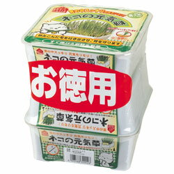 ペティオ ネコの元気草 3Pペット用品 ※お取り寄せ商品