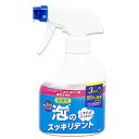 【ライオンケミカル】泡のスッキリデント マウスピース、部分・総入れ歯兼用洗浄剤 本体 300ml